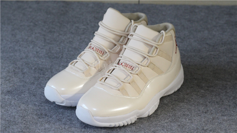 Air Jordan 11 20th Anniversary